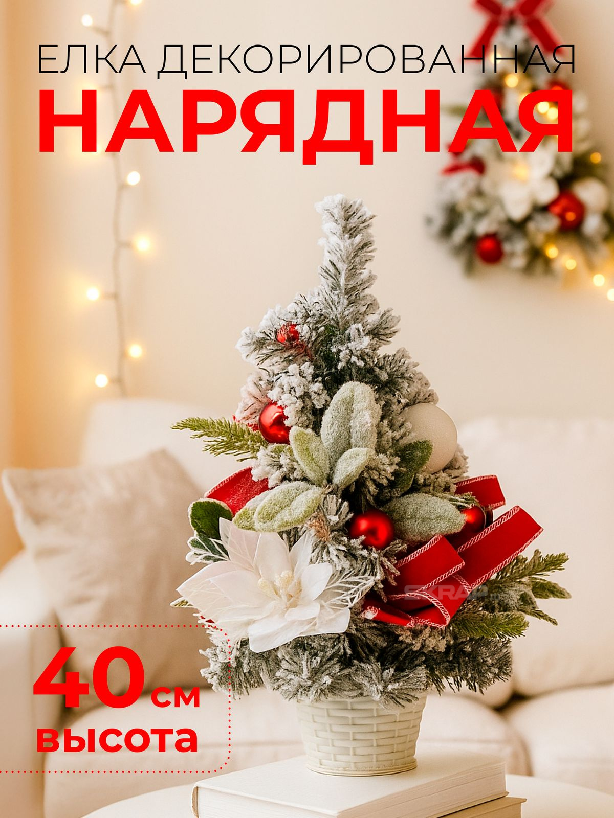 110201_MP_1