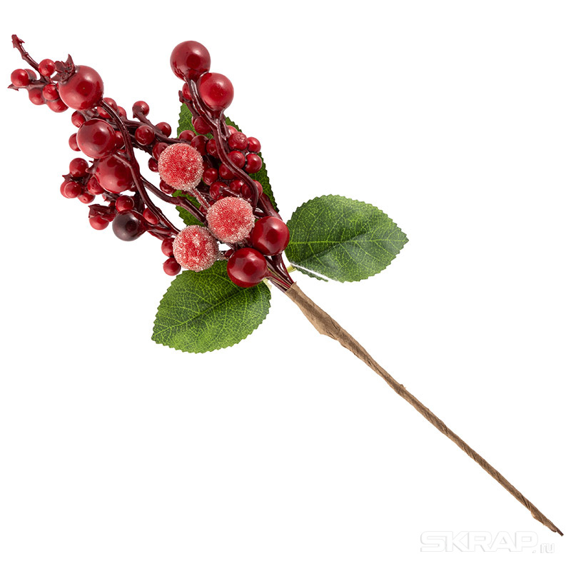 005773
