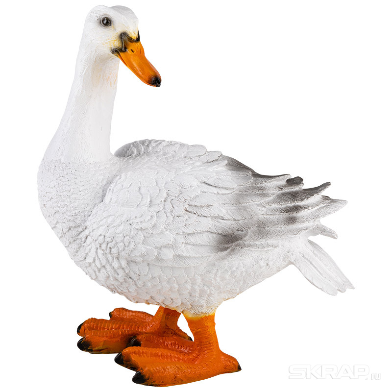 169428