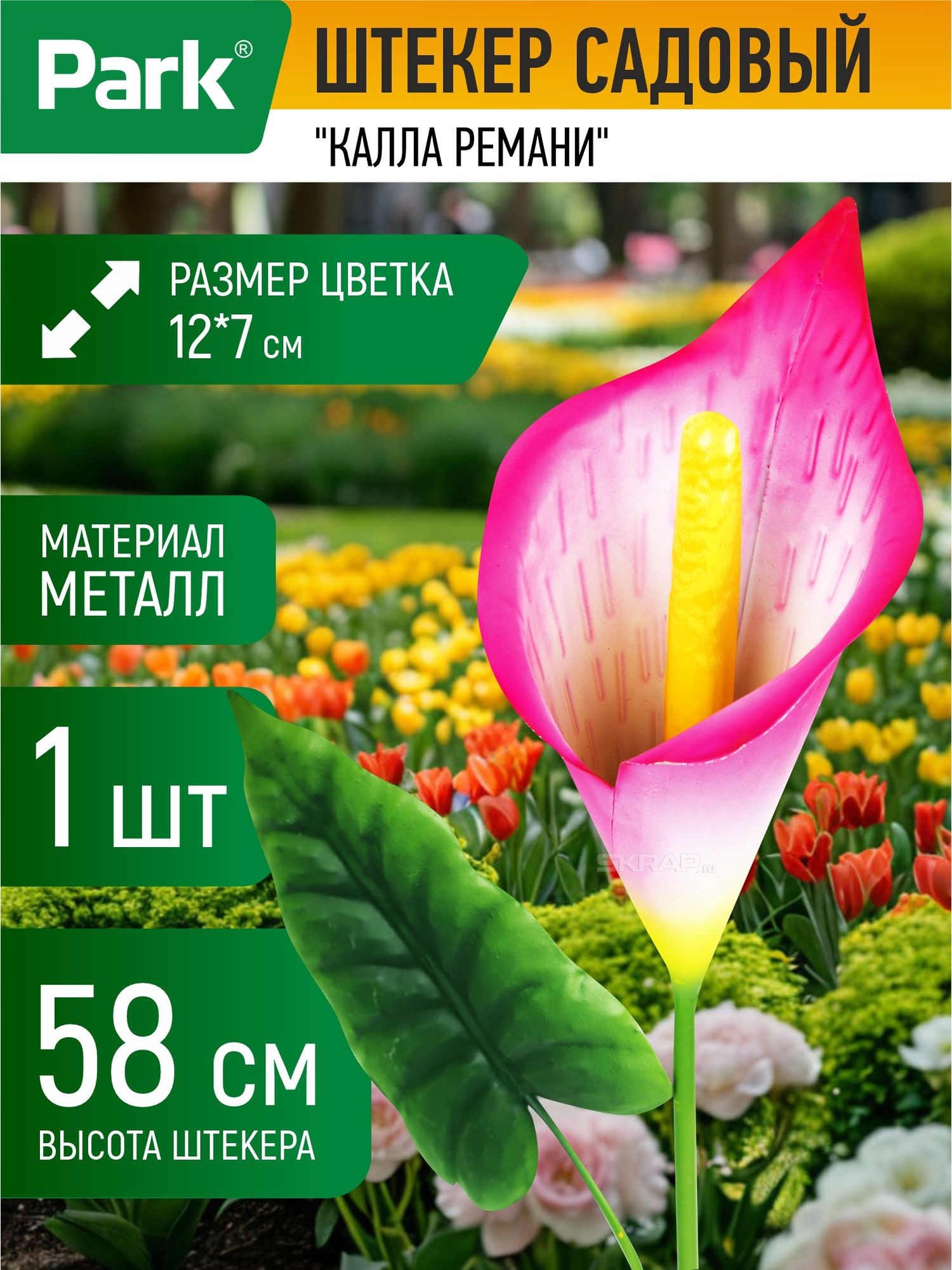 108841_MP_1