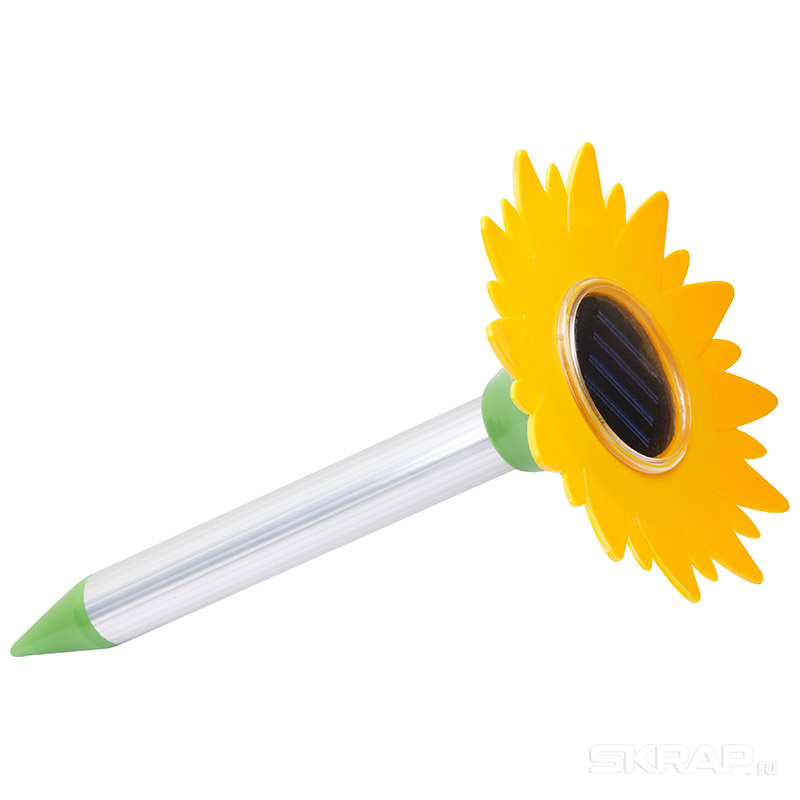 333407