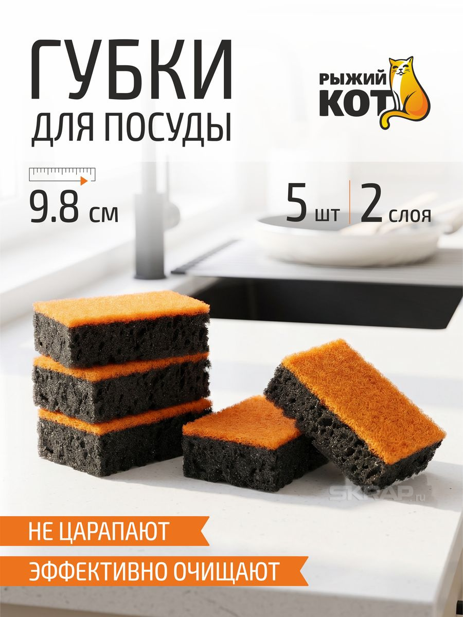 310579_MP_1